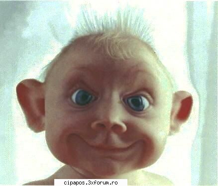 bebe - cipapos - poze funny
